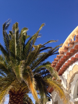 Palme