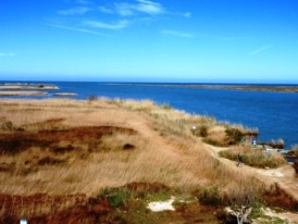 Einmündung des Ebro