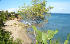 Bucht an Playa Cristal Bucht an Playa Cristal