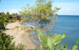 Bucht an Playa Cristal Bucht an Playa Cristal