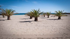 Playa Cristal Playa Cristal